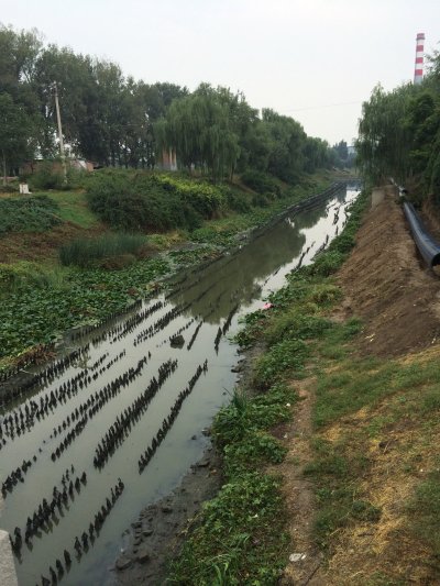 碳纤维净水草